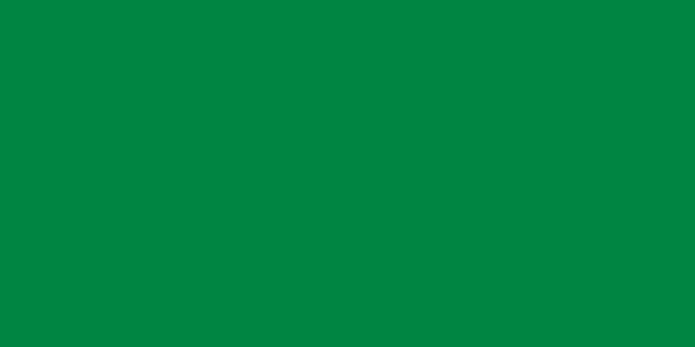 Libya Flag